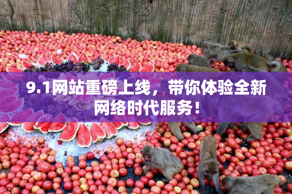 9.1网站重磅上线，带你体验全新网络时代服务！