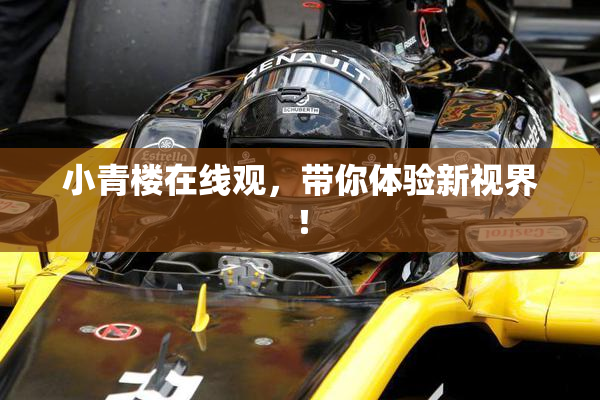 小青楼在线观，带你体验新视界！