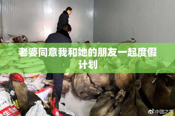 老婆同意我和她的朋友一起度假计划