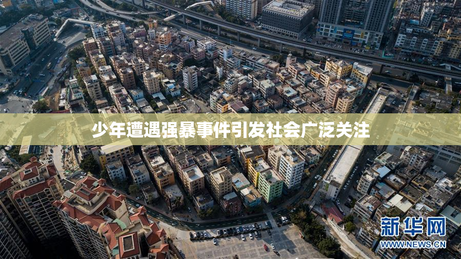 少年遭遇强暴事件引发社会广泛关注