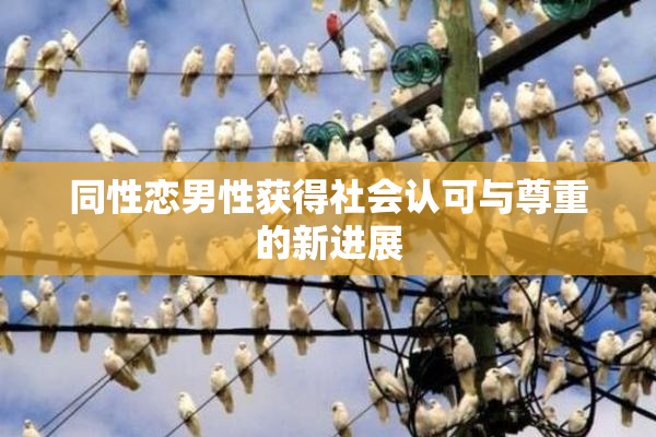 同性恋男性获得社会认可与尊重的新进展