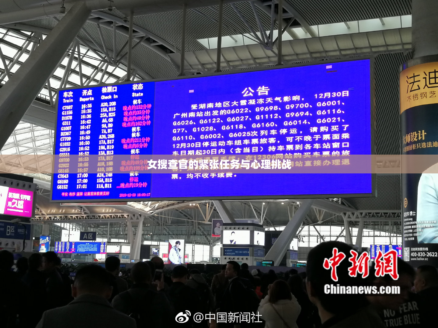 女搜查官的紧张任务与心理挑战