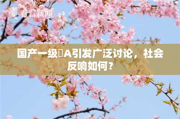 国产一级婬A引发广泛讨论，社会反响如何？
