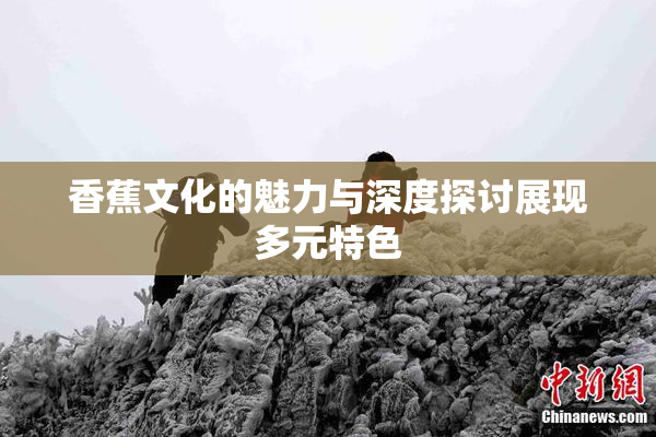 香蕉文化的魅力与深度探讨展现多元特色