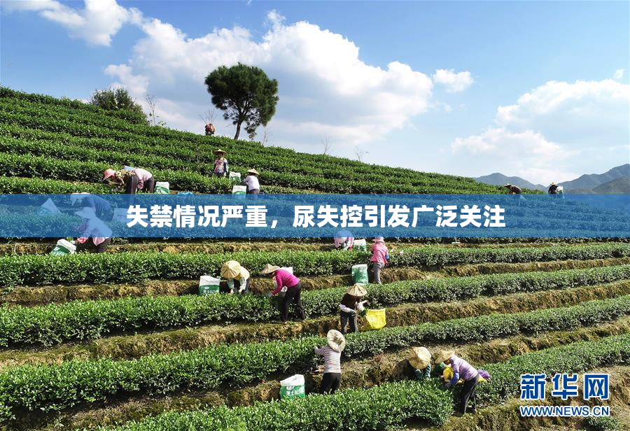 失禁情况严重，尿失控引发广泛关注