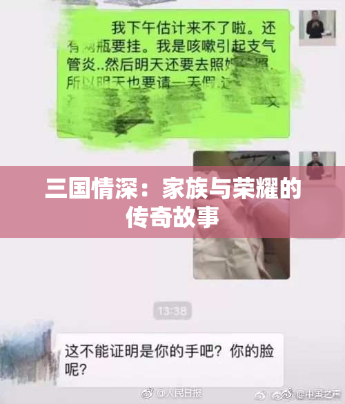 三国情深：家族与荣耀的传奇故事