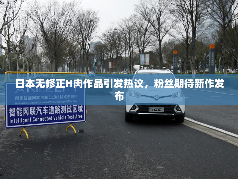 日本无修正H肉作品引发热议，粉丝期待新作发布