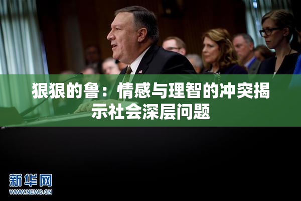 狠狠的鲁：情感与理智的冲突揭示社会深层问题
