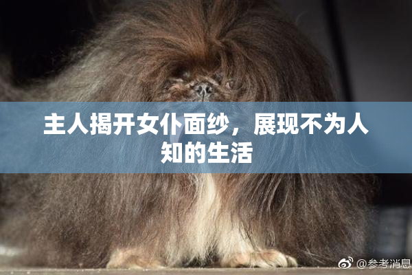 主人揭开女仆面纱，展现不为人知的生活