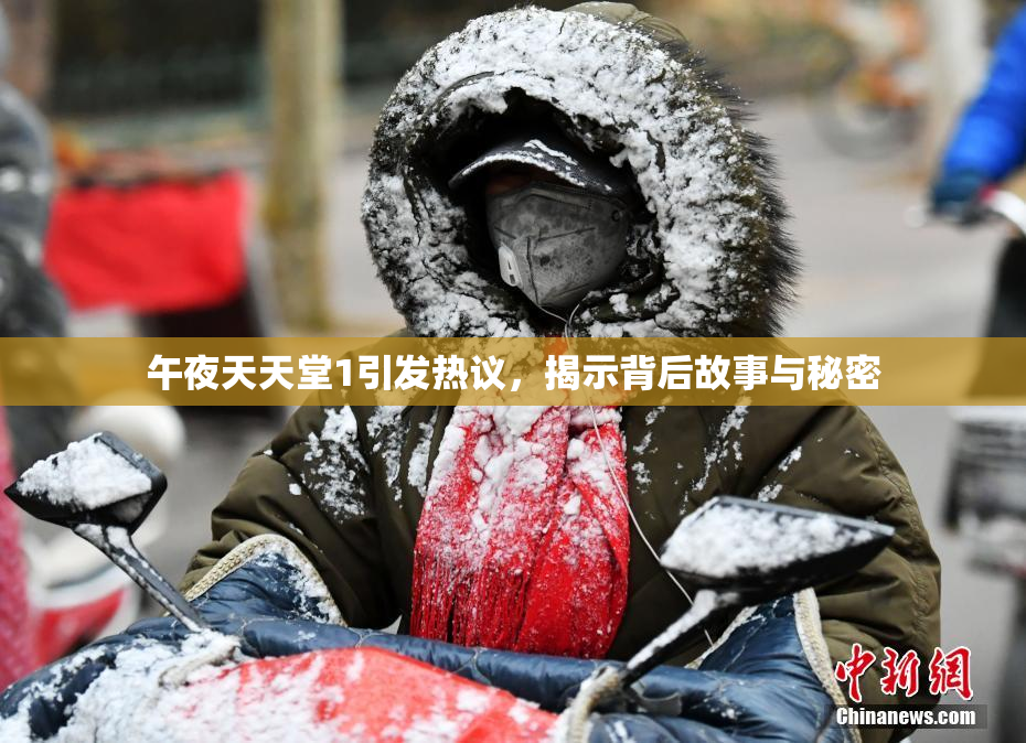 午夜天天堂1引发热议，揭示背后故事与秘密