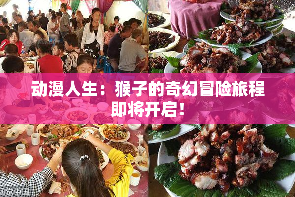 动漫人生：猴子的奇幻冒险旅程即将开启！