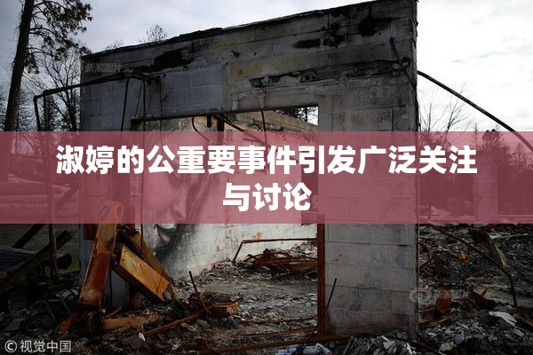 淑婷的公重要事件引发广泛关注与讨论