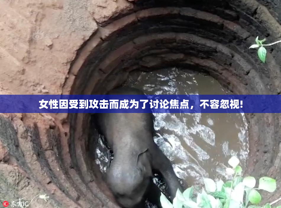 女性因受到攻击而成为了讨论焦点，不容忽视!