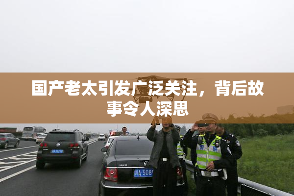 国产老太引发广泛关注，背后故事令人深思