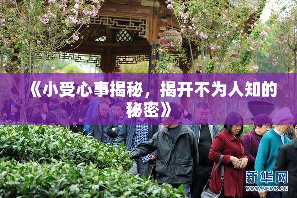 《小受心事揭秘，揭开不为人知的秘密》