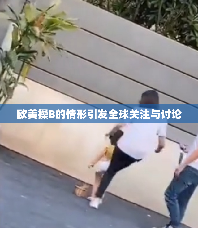 欧美搡B的情形引发全球关注与讨论