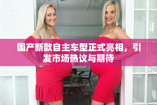 国产新款自主车型正式亮相，引发市场热议与期待