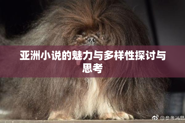 亚洲小说的魅力与多样性探讨与思考