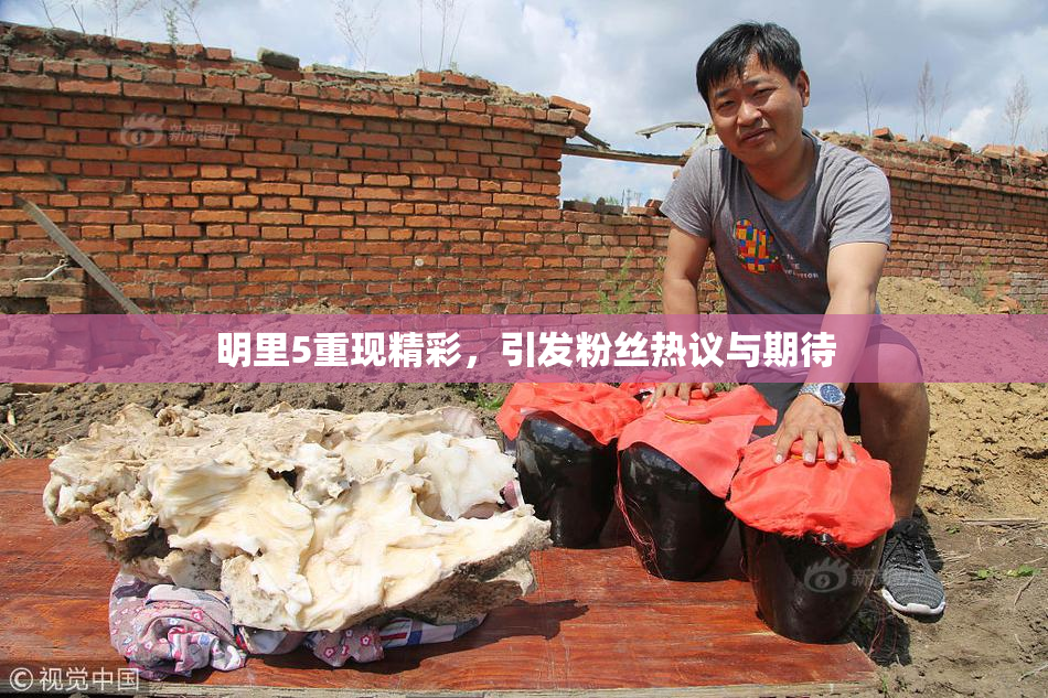 明里5重现精彩，引发粉丝热议与期待