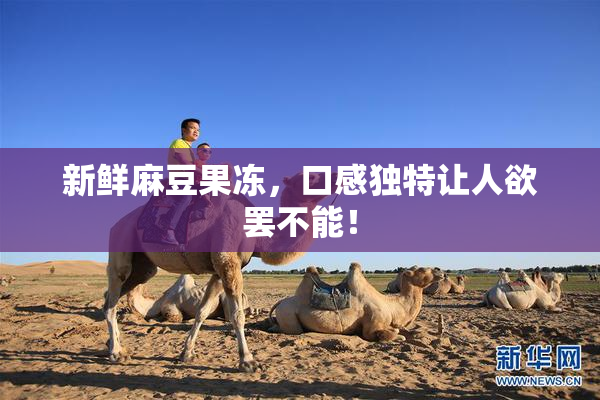 新鲜麻豆果冻，口感独特让人欲罢不能！