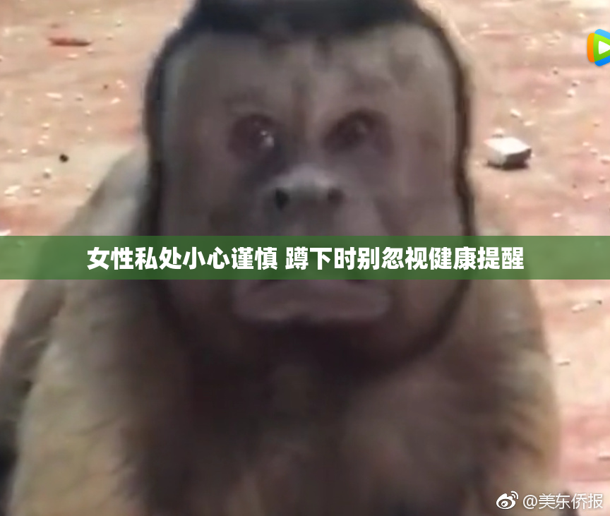 女性私处小心谨慎 蹲下时别忽视健康提醒