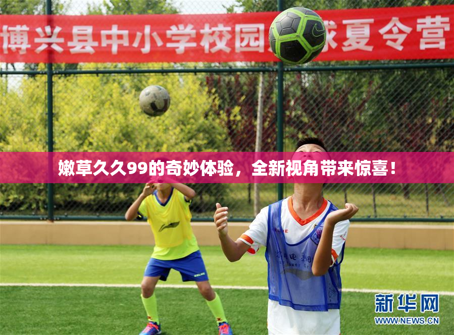 嫩草久久99的奇妙体验，全新视角带来惊喜！