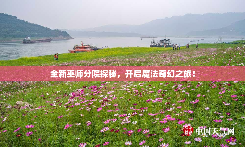 全新巫师分院探秘，开启魔法奇幻之旅！