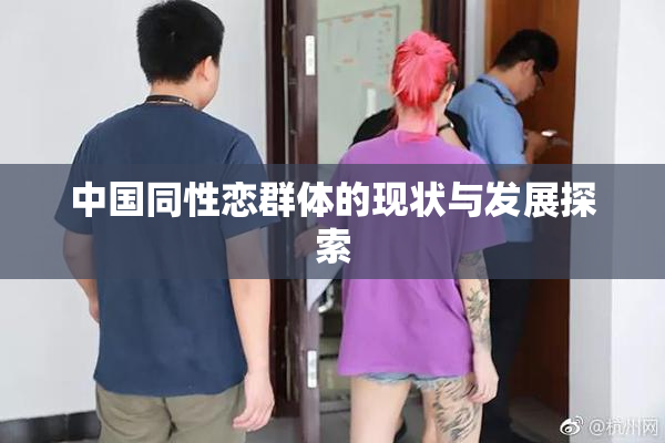 中国同性恋群体的现状与发展探索