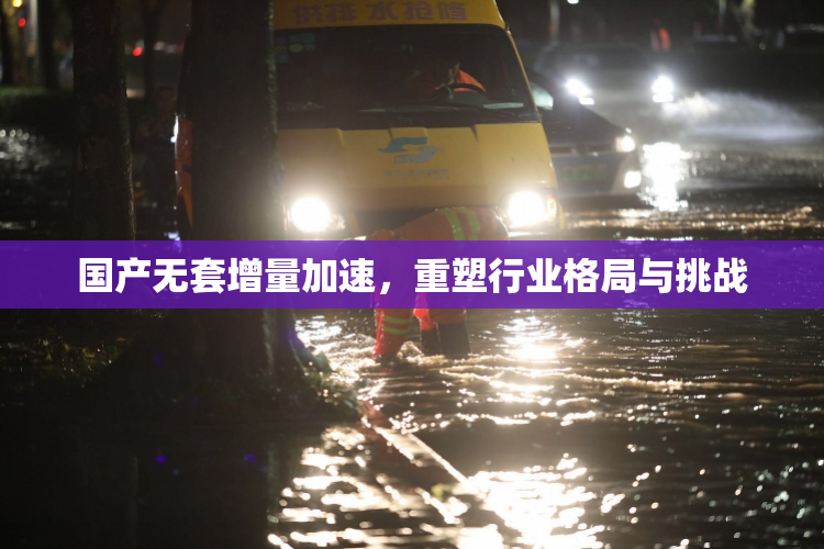 国产无套增量加速，重塑行业格局与挑战
