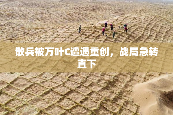 散兵被万叶C遭遇重创，战局急转直下