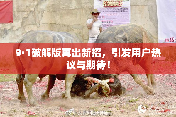 9·1破解版再出新招，引发用户热议与期待！