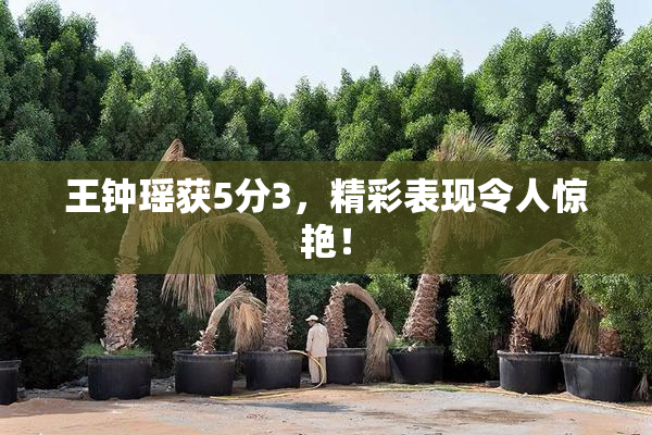 王钟瑶获5分3，精彩表现令人惊艳！