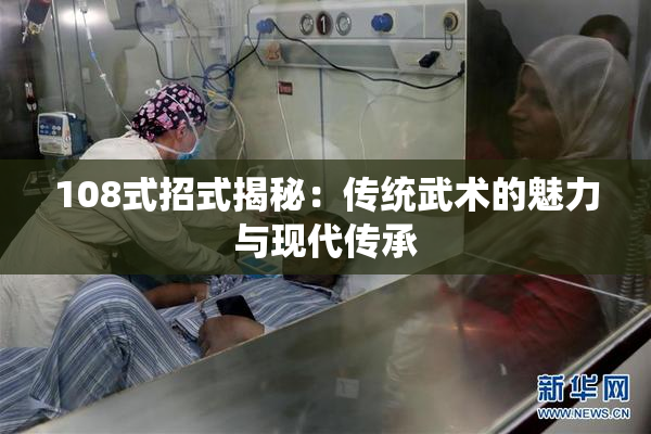 108式招式揭秘：传统武术的魅力与现代传承