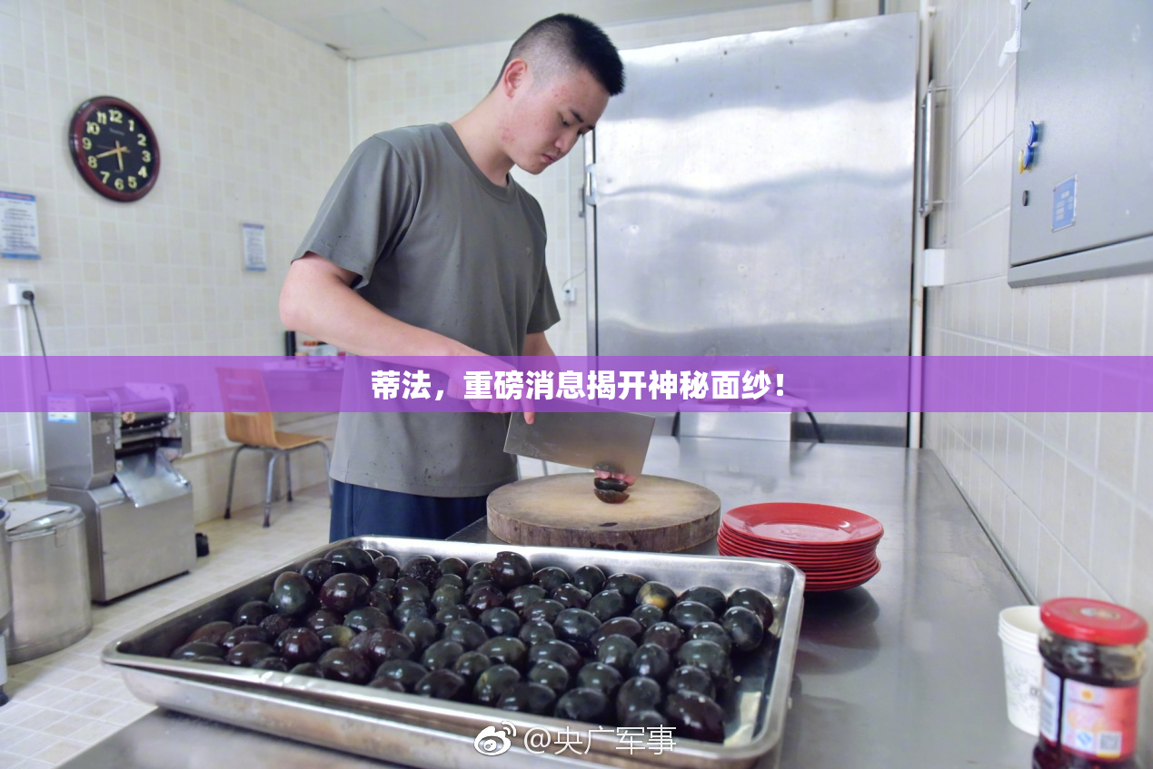 蒂法，重磅消息揭开神秘面纱！