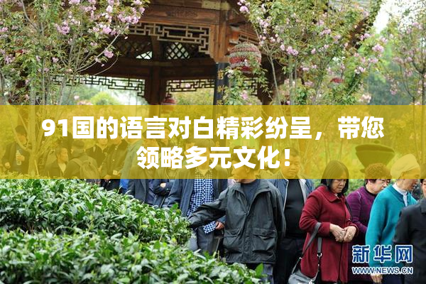 91国的语言对白精彩纷呈，带您领略多元文化！