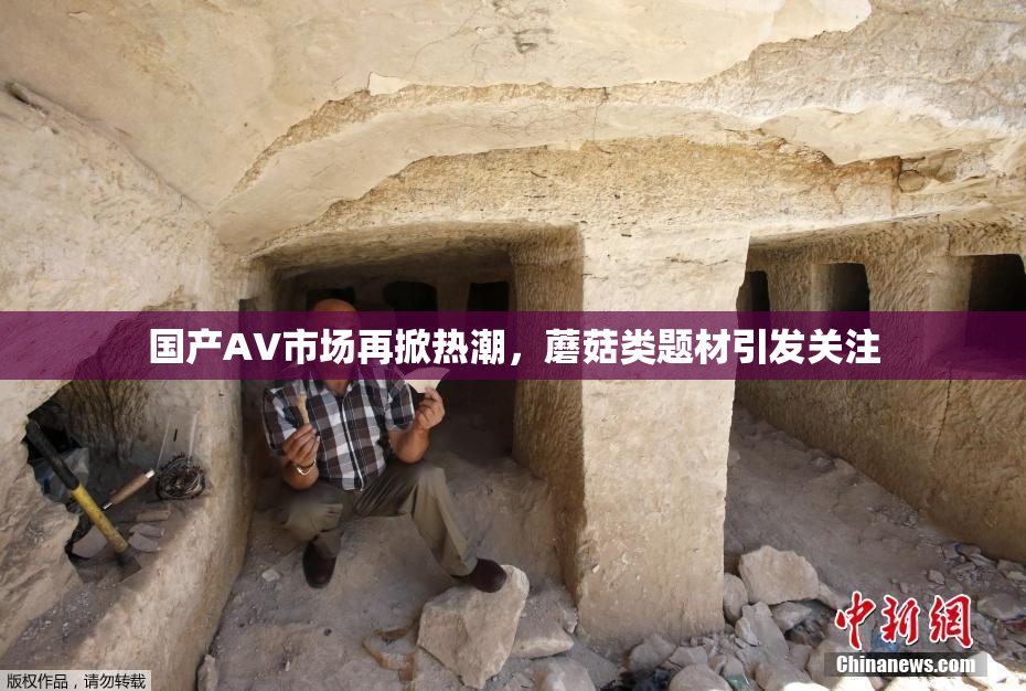 国产AV市场再掀热潮，蘑菇类题材引发关注