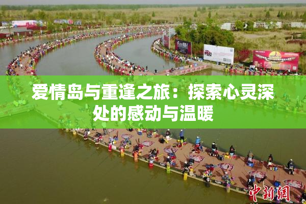 爱情岛与重逢之旅：探索心灵深处的感动与温暖