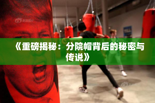 《重磅揭秘：分院帽背后的秘密与传说》