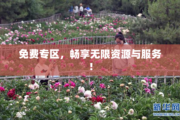 免费专区，畅享无限资源与服务！