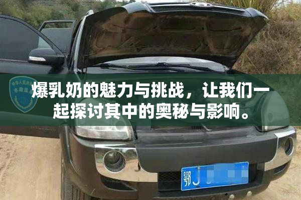 爆乳奶的魅力与挑战，让我们一起探讨其中的奥秘与影响。