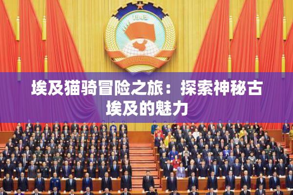 埃及猫骑冒险之旅：探索神秘古埃及的魅力
