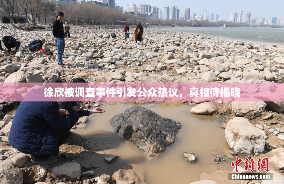 徐欣被调查事件引发公众热议，真相待揭晓