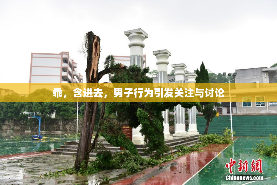 乖，含进去，男子行为引发关注与讨论
