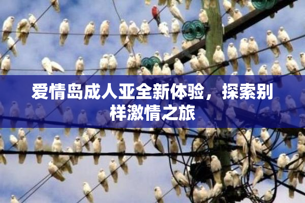 爱情岛成人亚全新体验，探索别样激情之旅