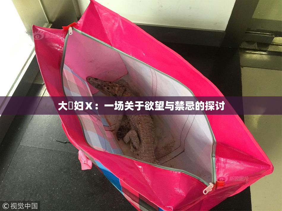 大婬妇Ⅹ：一场关于欲望与禁忌的探讨
