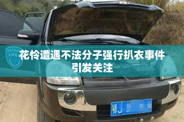 花怜遭遇不法分子强行扒衣事件引发关注