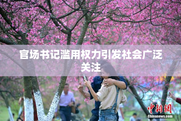 官场书记滥用权力引发社会广泛关注