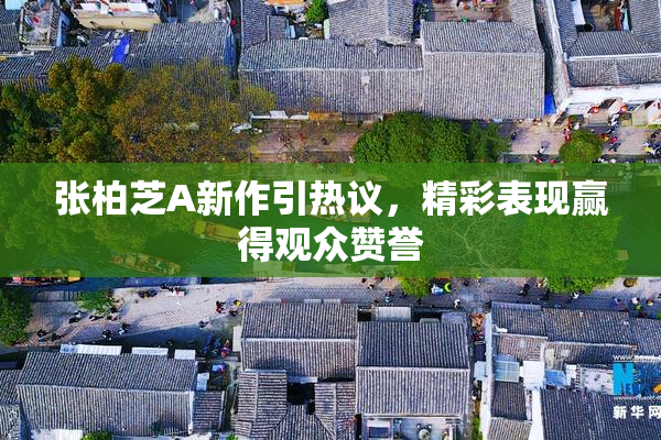 张柏芝A新作引热议，精彩表现赢得观众赞誉