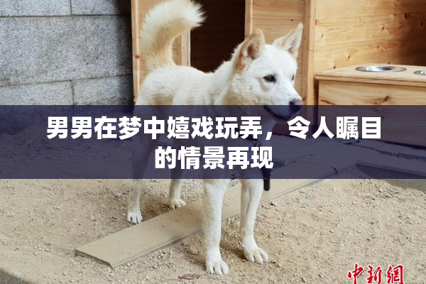 男男在梦中嬉戏玩弄，令人瞩目的情景再现