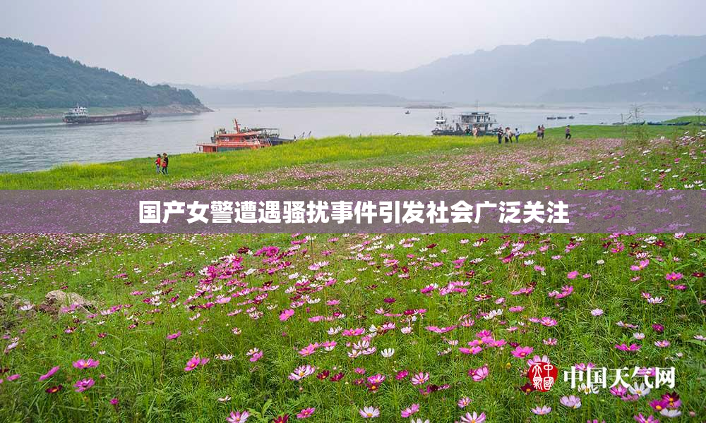 国产女警遭遇骚扰事件引发社会广泛关注